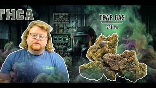 Tear Gas Strain Review: Did It Make Us Cry?