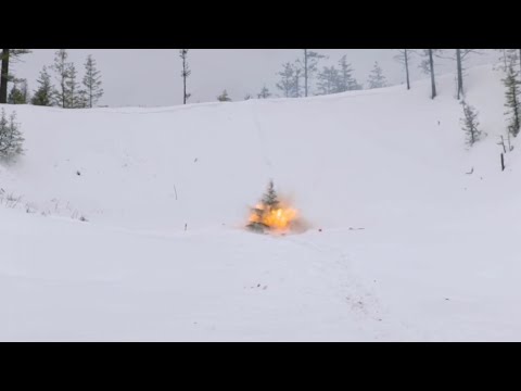 How to properly dispose your christmas tree