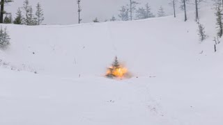 How to properly dispose your christmas tree