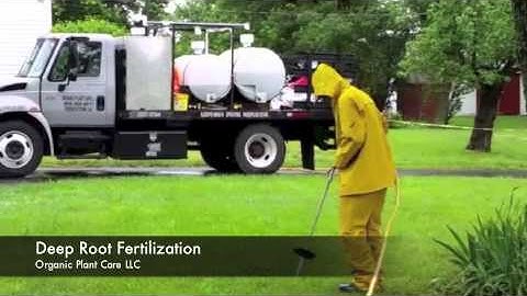 Deep Root Fertilization