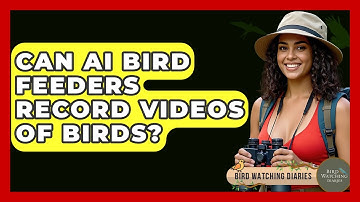 Can AI Bird Feeders Record Videos Of Birds? - Bird Watching Diaries