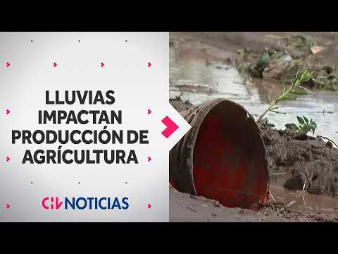 Heavy rains hit agriculture