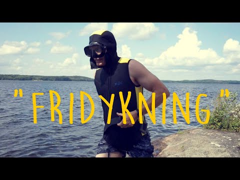 Video: De Bästa Våtdräkterna För Män 2021 För Dykning, Surfing, Simning