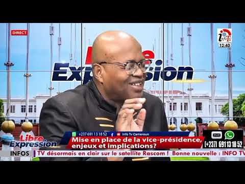 PR OWONA NGUINI : UN VICE-PRÉSIDENT NOMMÉ EST BIEN CONSTITUTIONNEL, L'OPPOSITION FAIT UN FAUX DÉBAT