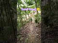 Gamay nga lasang😊🫰