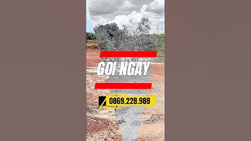 Đất Dầu Tiếng I Bán gấp 5ha Đất làm Trang Trại Giá ngộp #datdautieng