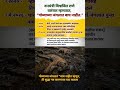 बेसुमार जंगलतोड आणि भाजप सरकारचा हव्यास फक्त जंगलच नाही तर प्राण्यांचा सुद्धा बळी घेत आहे #news | JG