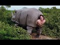 जानवरों के ऐसे कारनामे जिन्हें देखने के लिए नसीब लगता है | Most Amazing & Funny Animal Moments