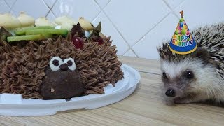 День рождения Чижуни ! Готовим торт !