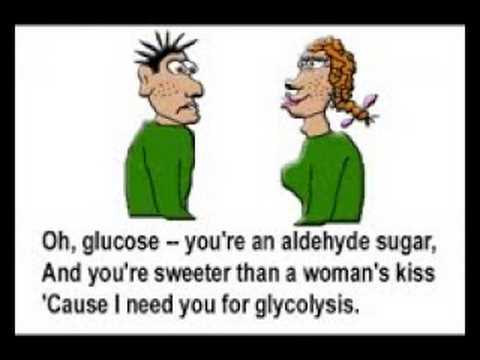 Glucose Song