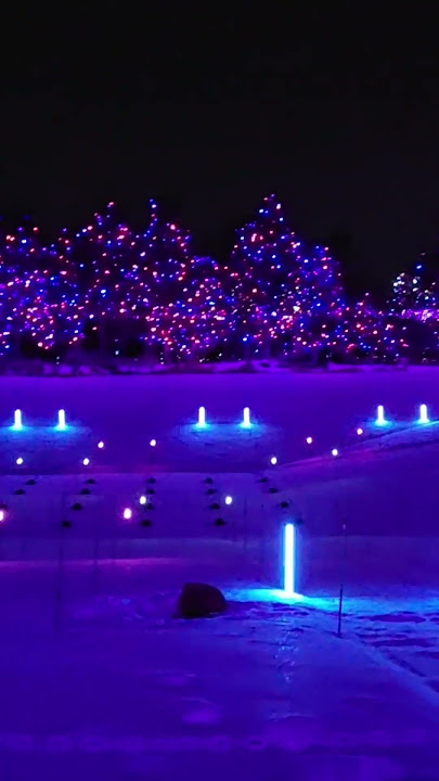 #winterwonderland #colorado #winterspecial
