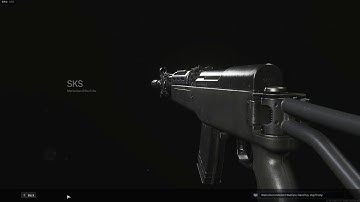 SKS and Renetti Showcase - Call of Duty Modern Warfare