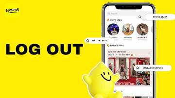 How To Log Out On Lemon8 App
