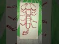 my drawing is Emperor Scorpion giant West African