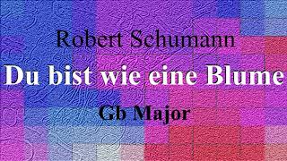 Video thumbnail of "Du bist wie eine Blume - Robert Schumann - accompaniment in Gb major"