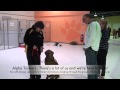 Alpha Dog Training - HUGE Indoor Training Facility Alpha Dog Training - HUGE Indoor Training Facility