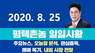 평택촌놈TV-일일시황 2020.08.25 / 온라인 교육주 / 평택촌놈