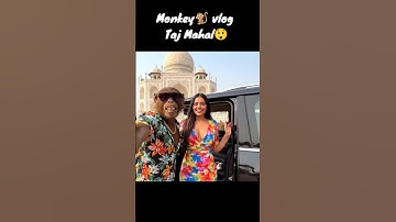 Monkey vlog Taj Mahal #shorts #veo3 #monkey #comedy #aivlog