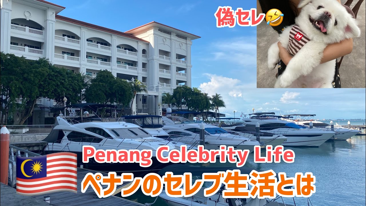 Explore Straits Quay Penang How Celebrity Malaysia Life Is マレーシアのセレブになりきれなかったけど犬と幸せさ Penang セレブ生活 Youtube