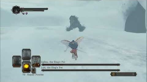 Lud and Zallen SL1 NG+7 CoC no rolling/blocking/parrying