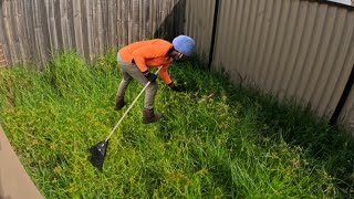 Helping a Friend with His Overgrown backyard by Mr Just Do IT 1,284 views 7 days ago 10 minutes, 4 seconds