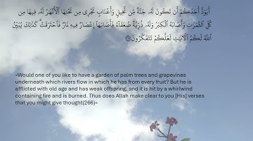 سورة البقرة - صفحة 45 - محمد صديق المنشاوي