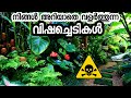 വീടുകളിൽ വളർത്തുന്ന വിഷച്ചെടികൾ|indoor plants malayalam|chedikal malayalam|poochedikal malayalam
