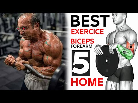 BEST Exercise Arms ( Biceps , Triceps , Wrist ) 