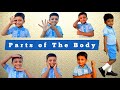 Parts of the body for kids  parts of body with pictorial learning  learn with prajeet