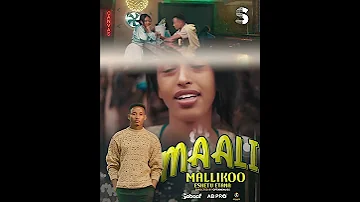Eshetu Etana Shorts Maali Mallikoo 2025 Ethiopian Oromo Music Shorts 