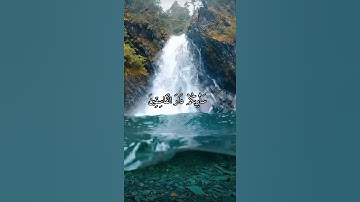 واتس اب قران كريم القارئ ياسر دوسري (سوره الأعراف)