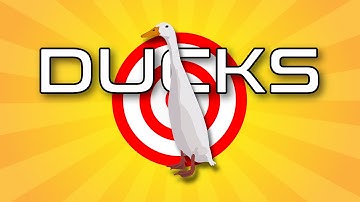 Duck herding Royal Darwin Show