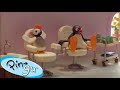 Family time with pingu   pingu  official channel  cartoons for kids