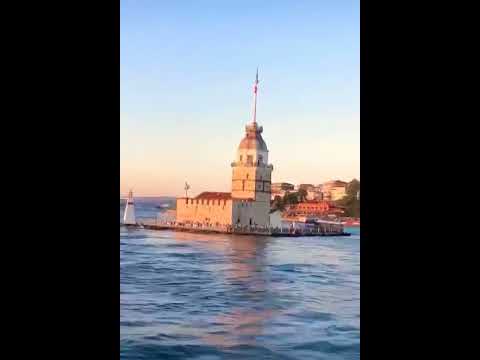 HraiZerdüş - Papatya