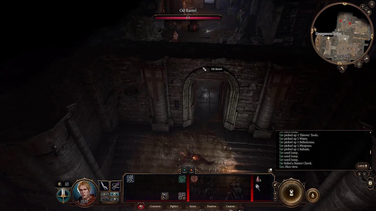 BG3 - Solo No Reload