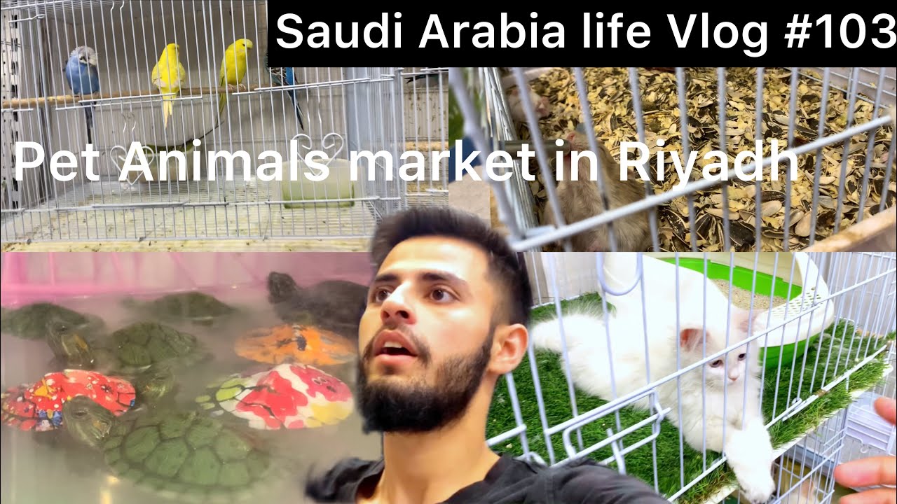 Pet market visit in Riyadh Amazing Shop Saudi Arabia Anas Saudi