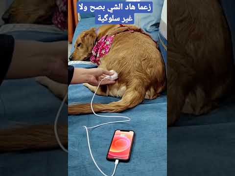 صدق او لا تصدق من حقك متصدقش ماشي بعيد تكون غير خدعة