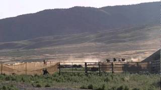 Triple B 07/21/11 Wild Horse Gather