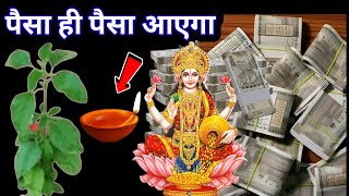 Download Lagu तुलसी को दिया लगाने वाली स्त्री कान खोल कर सुन लो, आज ही हो जाओ सावधान ! #tulsi  MP3