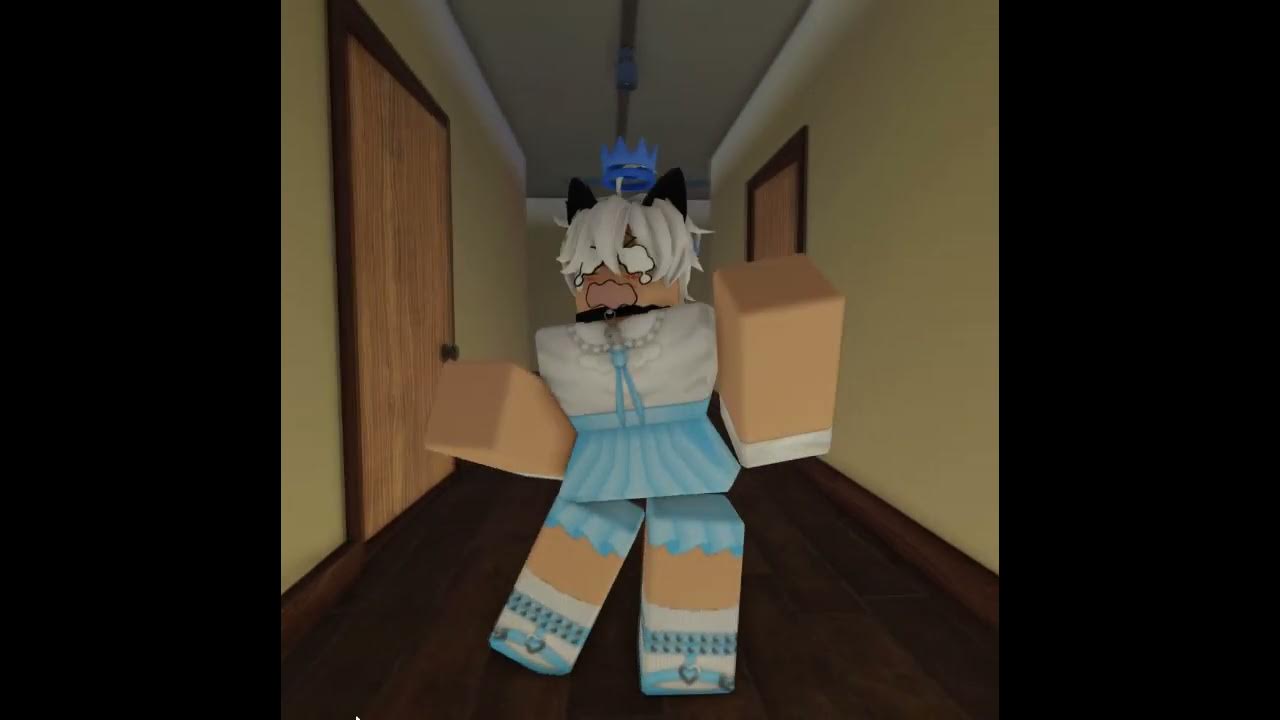 Sad cat dance  Roblox Animation 