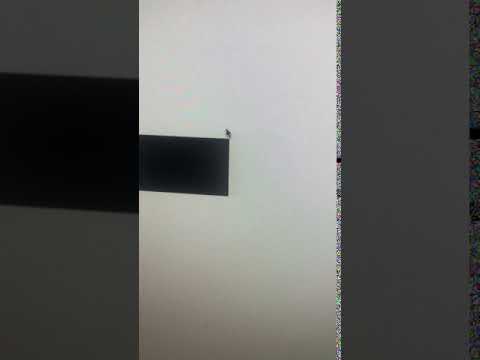 adobe cursor bug