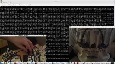 Stream 2 WEBCAMS at the same time using 1 Gstreamer Script - LIVE demo