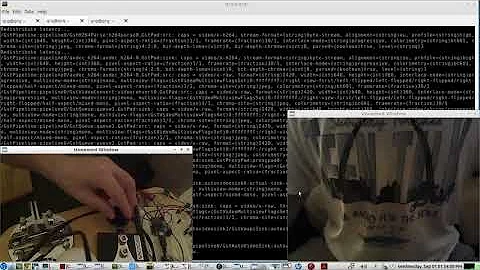 Stream 2 WEBCAMS at the same time using 1 Gstreamer Script - LIVE demo