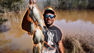 CRAPPIE FISHING CATCH CLEAN COOK  FISH FRY! FROM THE BANK