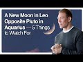 Une Nouvelle Lune En Lion Opposée à Pluton En Verseau 5 Choses à Surveiller Une Nouvelle Lune En Lion Opposée à Pluton En Verseau 5 Choses à Surveiller