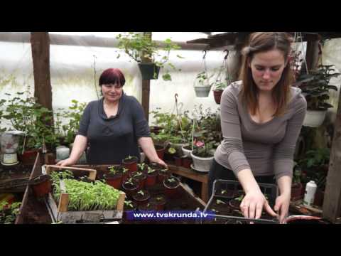 Video: Kas ir piemājas saimniecība - uzziniet par piemājas dzīvesveidu