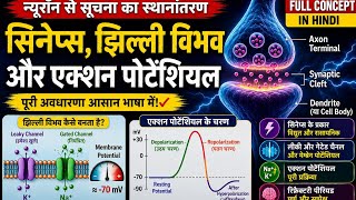 🧠Neuron का Secret Signal Nerve Impulse Membrane Potential Depolarization & Repolarization