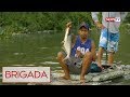 Brigada: Mga nahuling isda sa Ilog Pasig, ligtas bang kainin?