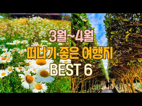 My favorite Korean spring destination. Trip to Korea