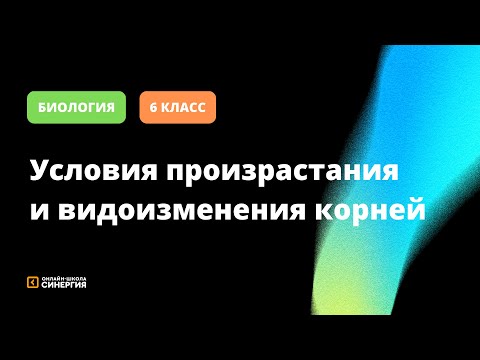 Условия произрастания и видоизменения корней | Биология | 6 Класс | Онлайн-школа Синергия